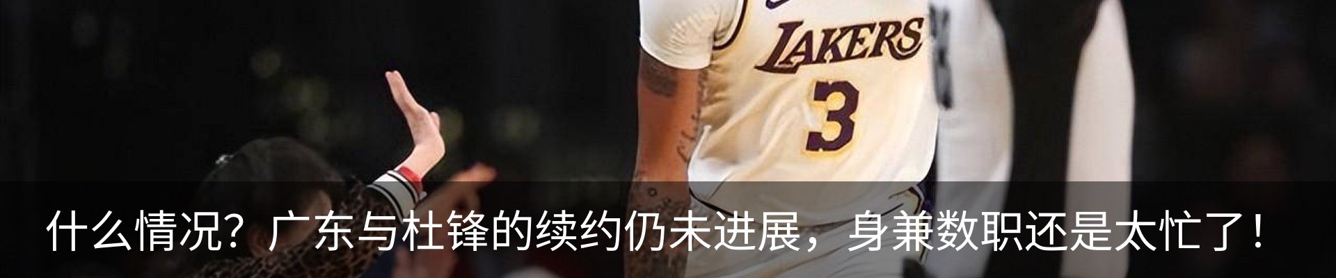 新闻动态