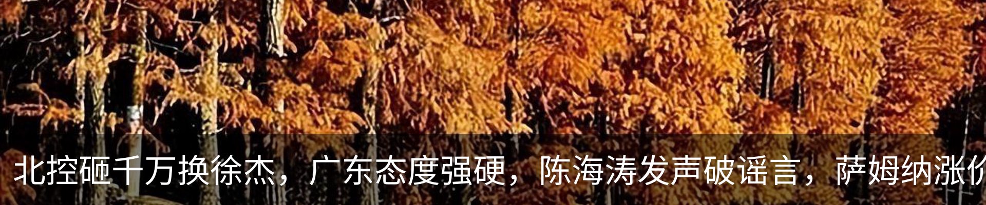 新闻动态
