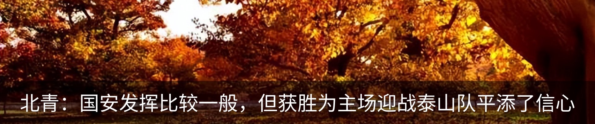 新闻动态