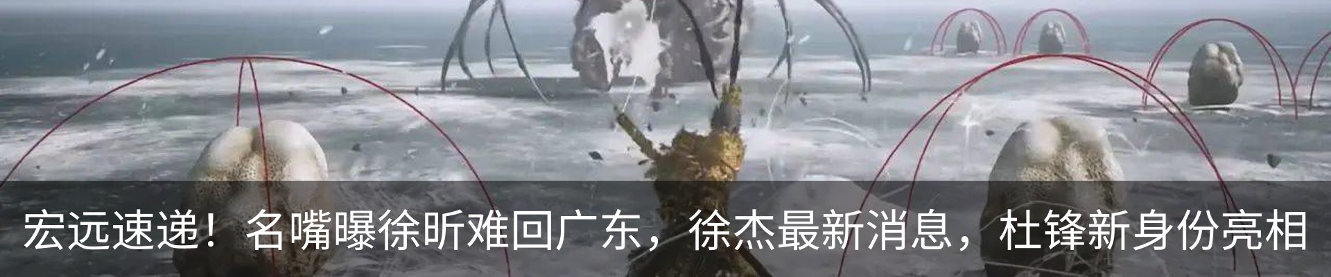 新闻动态
