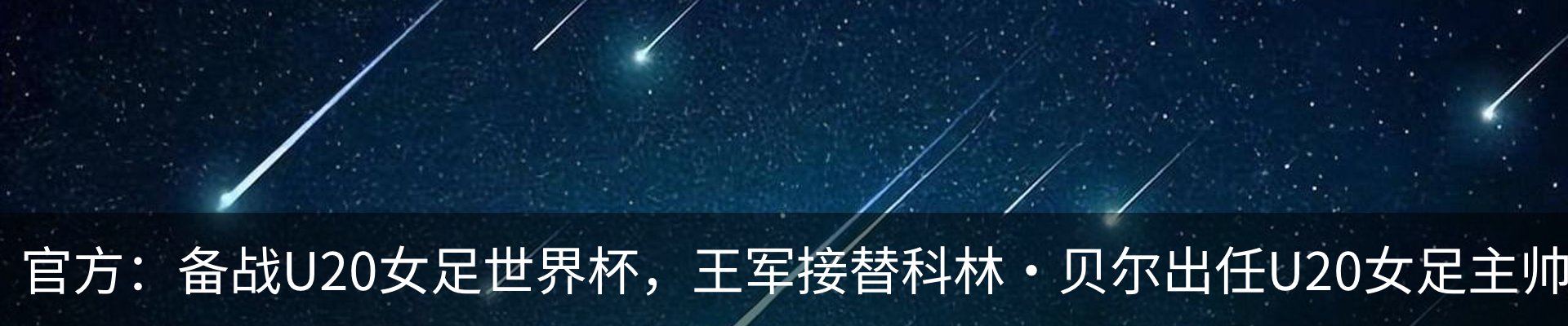 新闻动态