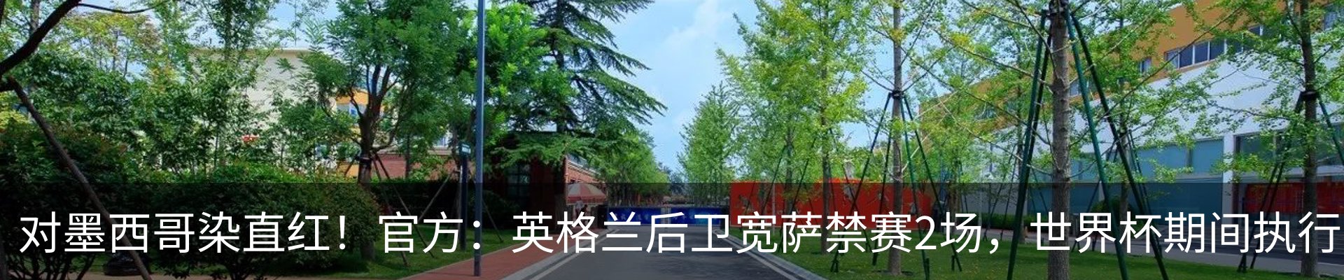 新闻动态