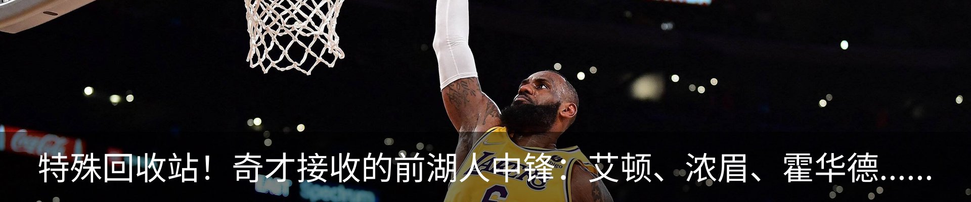 新闻动态