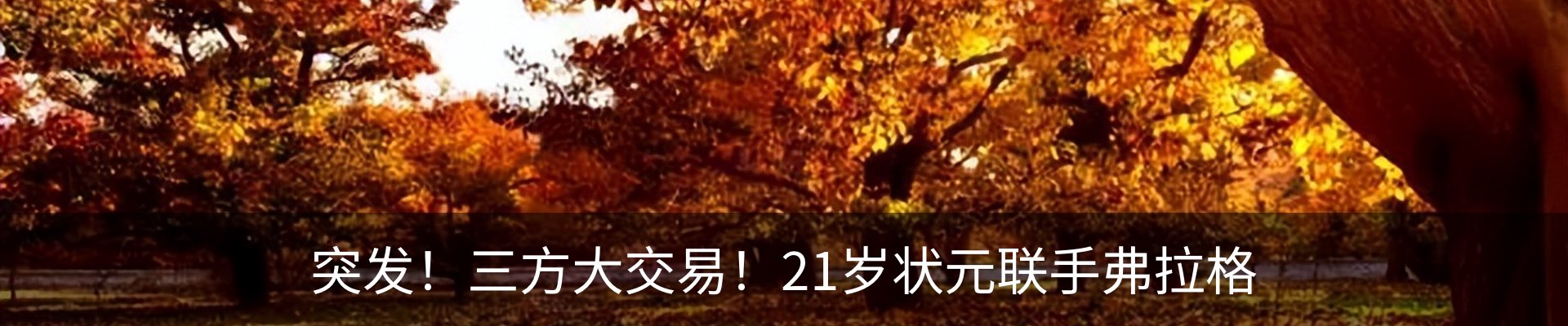 新闻动态