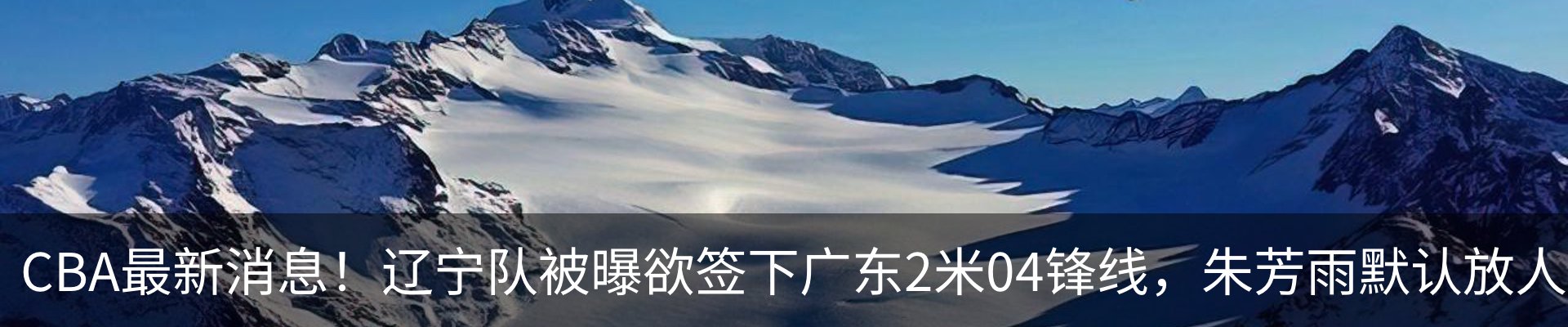 新闻动态