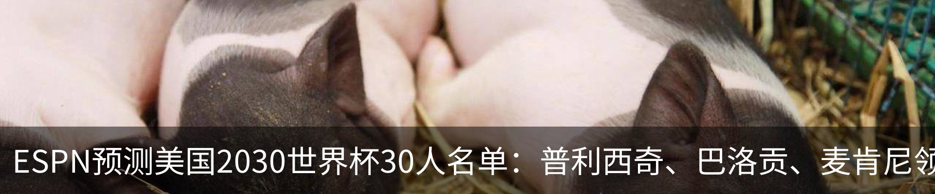 新闻动态
