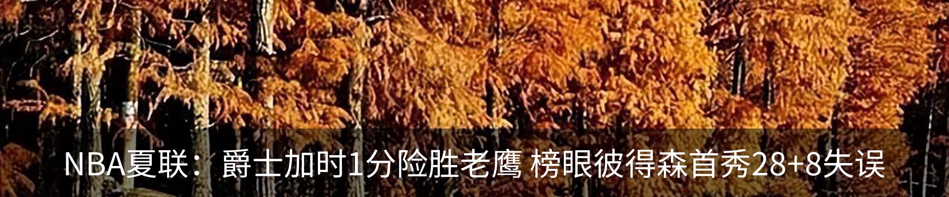 新闻动态